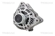 Generator 12 V TRISCAN 8310 10064
