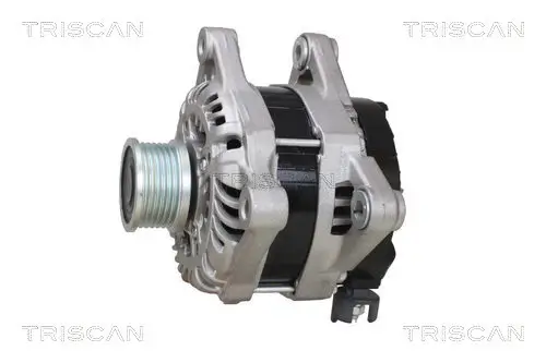 Generator 12 V TRISCAN 8310 10064 Bild Generator 12 V TRISCAN 8310 10064