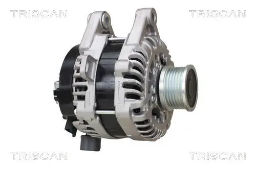 Generator 12 V TRISCAN 8310 10064 Bild Generator 12 V TRISCAN 8310 10064