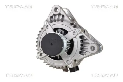 Generator 14 V TRISCAN 8310 10065