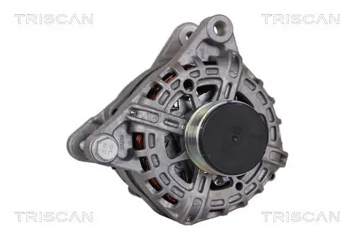 Generator 14 V TRISCAN 8310 10067 Bild Generator 14 V TRISCAN 8310 10067
