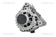 Generator 14 V TRISCAN 8310 10069