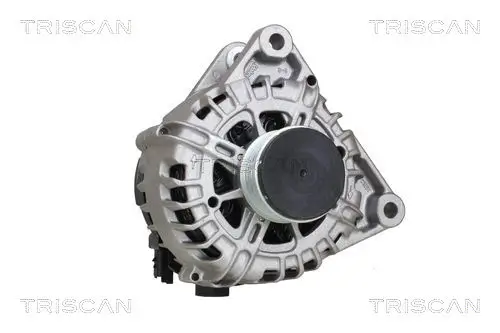 Generator 14 V TRISCAN 8310 10069 Bild Generator 14 V TRISCAN 8310 10069