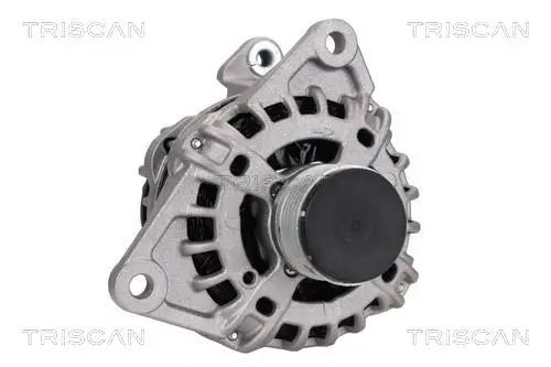 Generator 14 V TRISCAN 8310 10075 Bild Generator 14 V TRISCAN 8310 10075