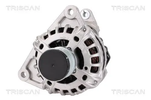 Generator 14 V TRISCAN 8310 10076
