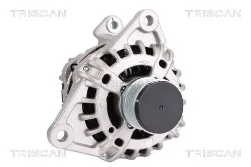 Generator 14 V TRISCAN 8310 10076 Bild Generator 14 V TRISCAN 8310 10076