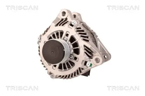 Generator 14 V TRISCAN 8310 10079 Bild Generator 14 V TRISCAN 8310 10079