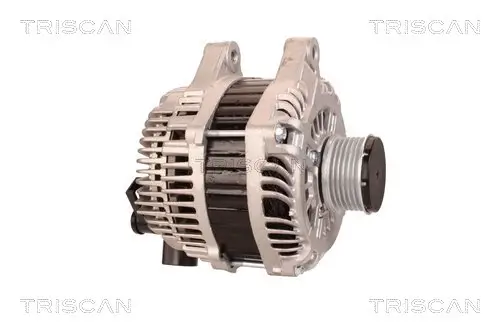 Generator 14 V TRISCAN 8310 10079 Bild Generator 14 V TRISCAN 8310 10079