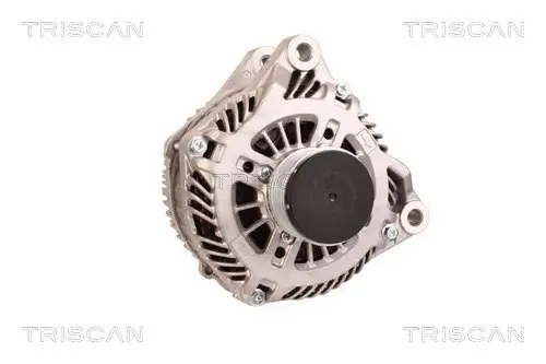 Generator 14 V TRISCAN 8310 10079 Bild Generator 14 V TRISCAN 8310 10079