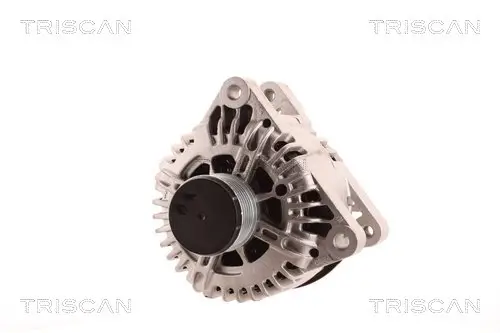 Generator 14 V TRISCAN 8310 10081