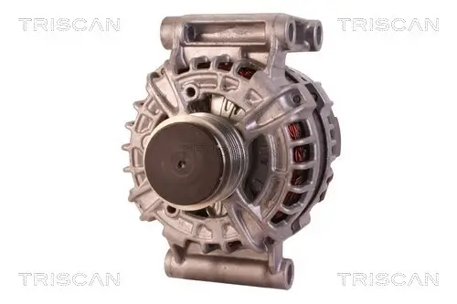 Generator 12 V TRISCAN 8310 10085