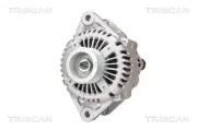Generator 14 V TRISCAN 8310 10087