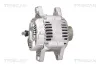 Generator 14 V TRISCAN 8310 10087 Bild Generator 14 V TRISCAN 8310 10087