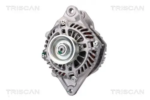 Generator 12 V TRISCAN 8310 10089