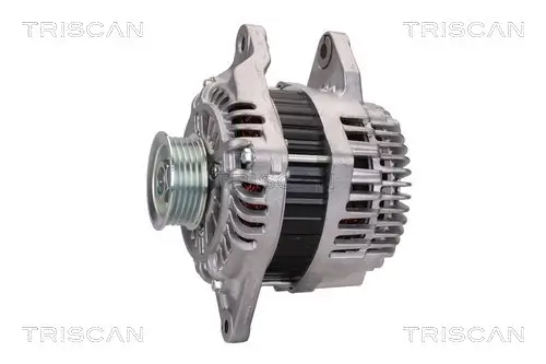 Generator 12 V TRISCAN 8310 10089 Bild Generator 12 V TRISCAN 8310 10089