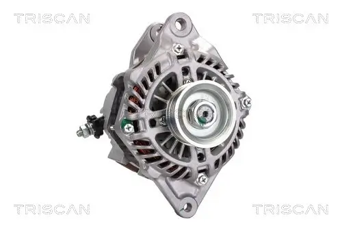 Generator 12 V TRISCAN 8310 10089 Bild Generator 12 V TRISCAN 8310 10089