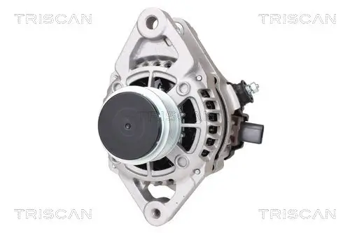 Generator 14 V TRISCAN 8310 10098 Bild Generator 14 V TRISCAN 8310 10098