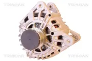 Generator 14 V TRISCAN 8310 10100