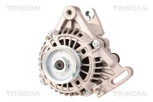 Generator 14 V TRISCAN 8310 10103
