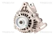Generator 14 V TRISCAN 8310 10103