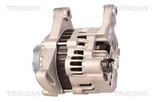 Generator 14 V TRISCAN 8310 10103 Bild Generator 14 V TRISCAN 8310 10103