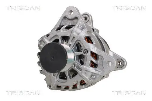 Generator 14 V TRISCAN 8310 10108