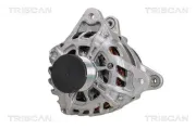 Generator 14 V TRISCAN 8310 10108