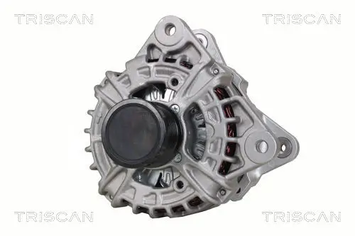 Generator 14 V TRISCAN 8310 10109