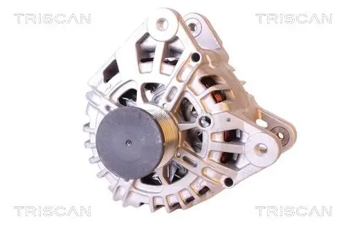 Generator 14 V TRISCAN 8310 10111