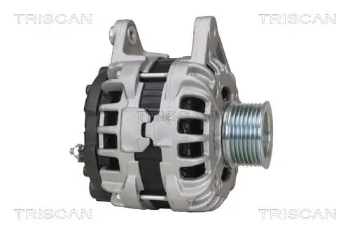 Generator 14 V TRISCAN 8310 10112 Bild Generator 14 V TRISCAN 8310 10112