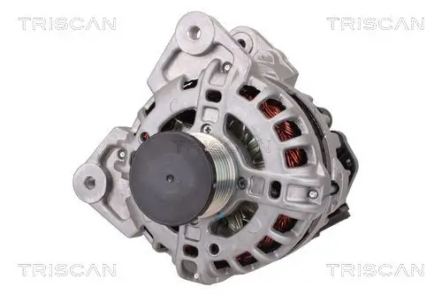 Generator 14 V TRISCAN 8310 10113