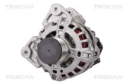 Generator 14 V TRISCAN 8310 10113