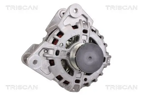 Generator 14 V TRISCAN 8310 10113 Bild Generator 14 V TRISCAN 8310 10113