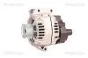 Generator 14 V TRISCAN 8310 10116 Bild Generator 14 V TRISCAN 8310 10116