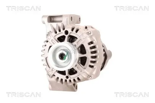 Generator 14 V TRISCAN 8310 10116 Bild Generator 14 V TRISCAN 8310 10116