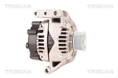 Generator 14 V TRISCAN 8310 10116 Bild Generator 14 V TRISCAN 8310 10116
