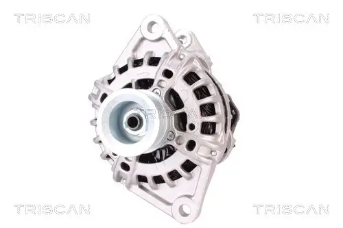 Generator 14 V TRISCAN 8310 10117