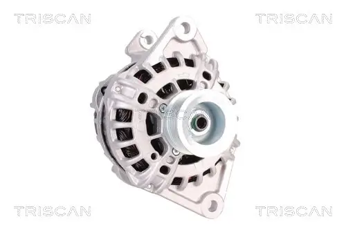 Generator 14 V TRISCAN 8310 10117 Bild Generator 14 V TRISCAN 8310 10117