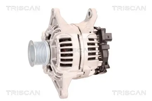 Generator 12 V TRISCAN 8310 10119 Bild Generator 12 V TRISCAN 8310 10119