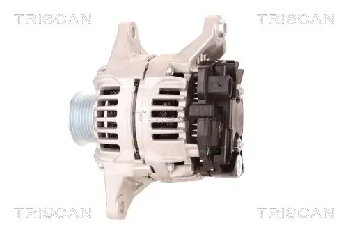 Generator 12 V TRISCAN 8310 10119 Bild Generator 12 V TRISCAN 8310 10119