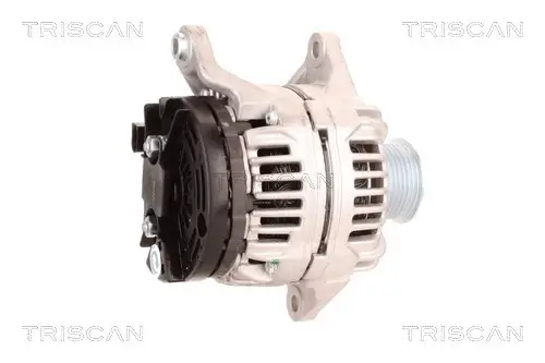 Generator 12 V TRISCAN 8310 10119 Bild Generator 12 V TRISCAN 8310 10119