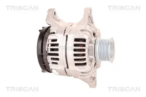 Generator 12 V TRISCAN 8310 10119 Bild Generator 12 V TRISCAN 8310 10119