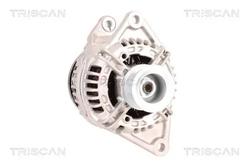 Generator 12 V TRISCAN 8310 10119 Bild Generator 12 V TRISCAN 8310 10119