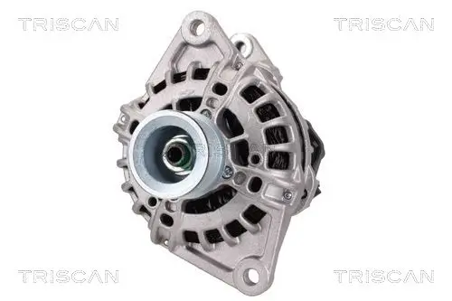 Generator 14 V TRISCAN 8310 10120