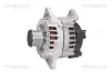Generator 14 V TRISCAN 8310 10121 Bild Generator 14 V TRISCAN 8310 10121