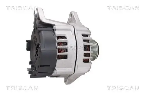 Generator 14 V TRISCAN 8310 10121 Bild Generator 14 V TRISCAN 8310 10121