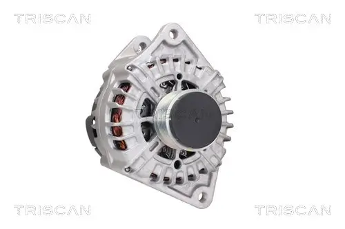 Generator 14 V TRISCAN 8310 10121 Bild Generator 14 V TRISCAN 8310 10121