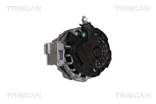 Generator 14 V TRISCAN 8310 10123 Bild Generator 14 V TRISCAN 8310 10123