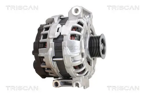 Generator 14 V TRISCAN 8310 10125 Bild Generator 14 V TRISCAN 8310 10125