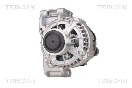 Generator 14 V TRISCAN 8310 10130